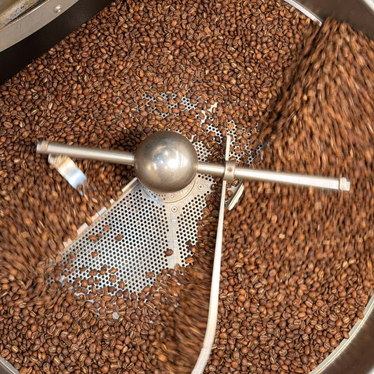 【全国送料無料】お得なおすすめコーヒー / 2種 飲み比べセット