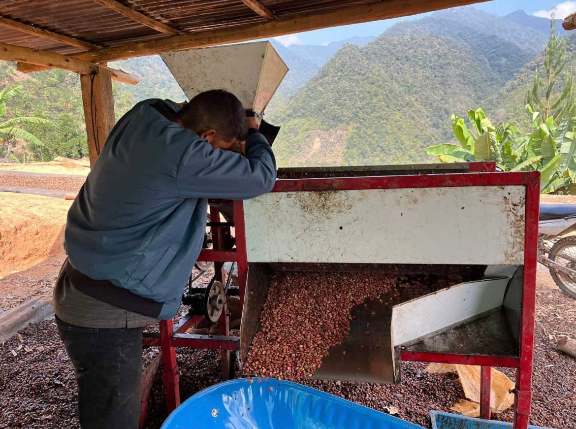 Coffee beans / ECUADOR Leopoldo Andrade / 150g