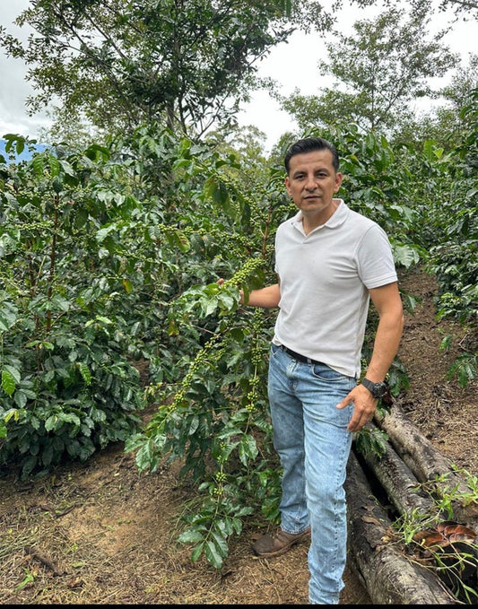 Leonidas Jaramillo / ECUADOR / 重なり合う味わい・ティピカメホラード種【Light Roast】