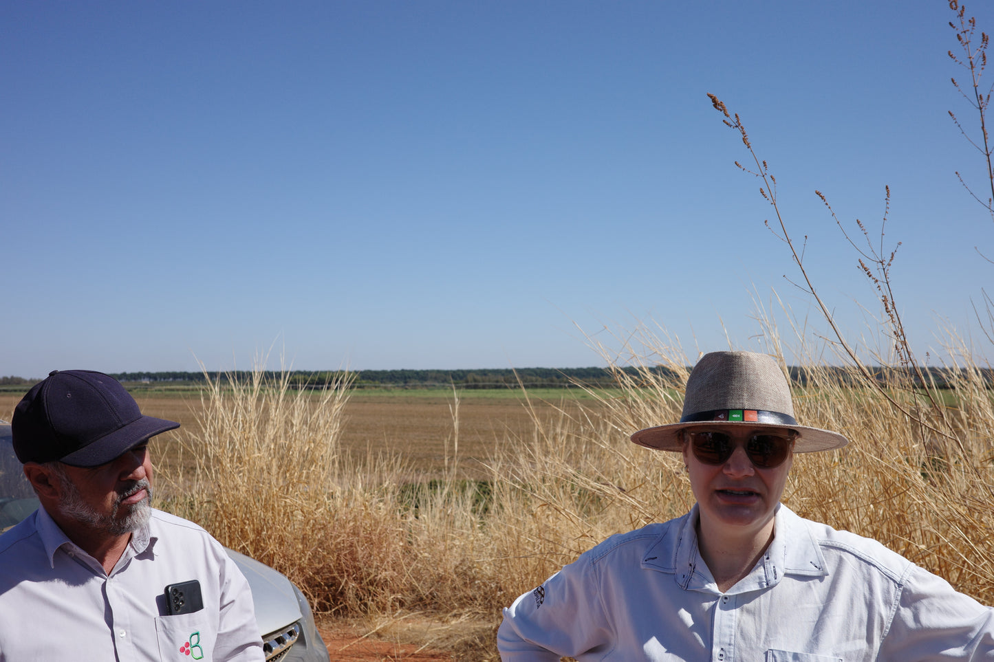 =NEW= Fazenda Rio Brilhante / Brazil / Aramosa