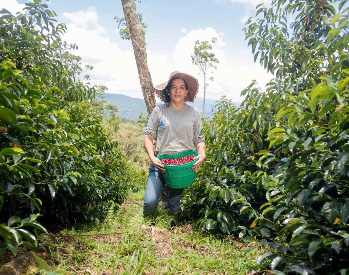 Coffee beans / ECUADOR Leopoldo Andrade / 150g