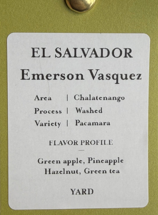 Emerson Vasquez / EL SALVADOR / コンプレックスなパカマラ・ウォッシュド【Light Roast】