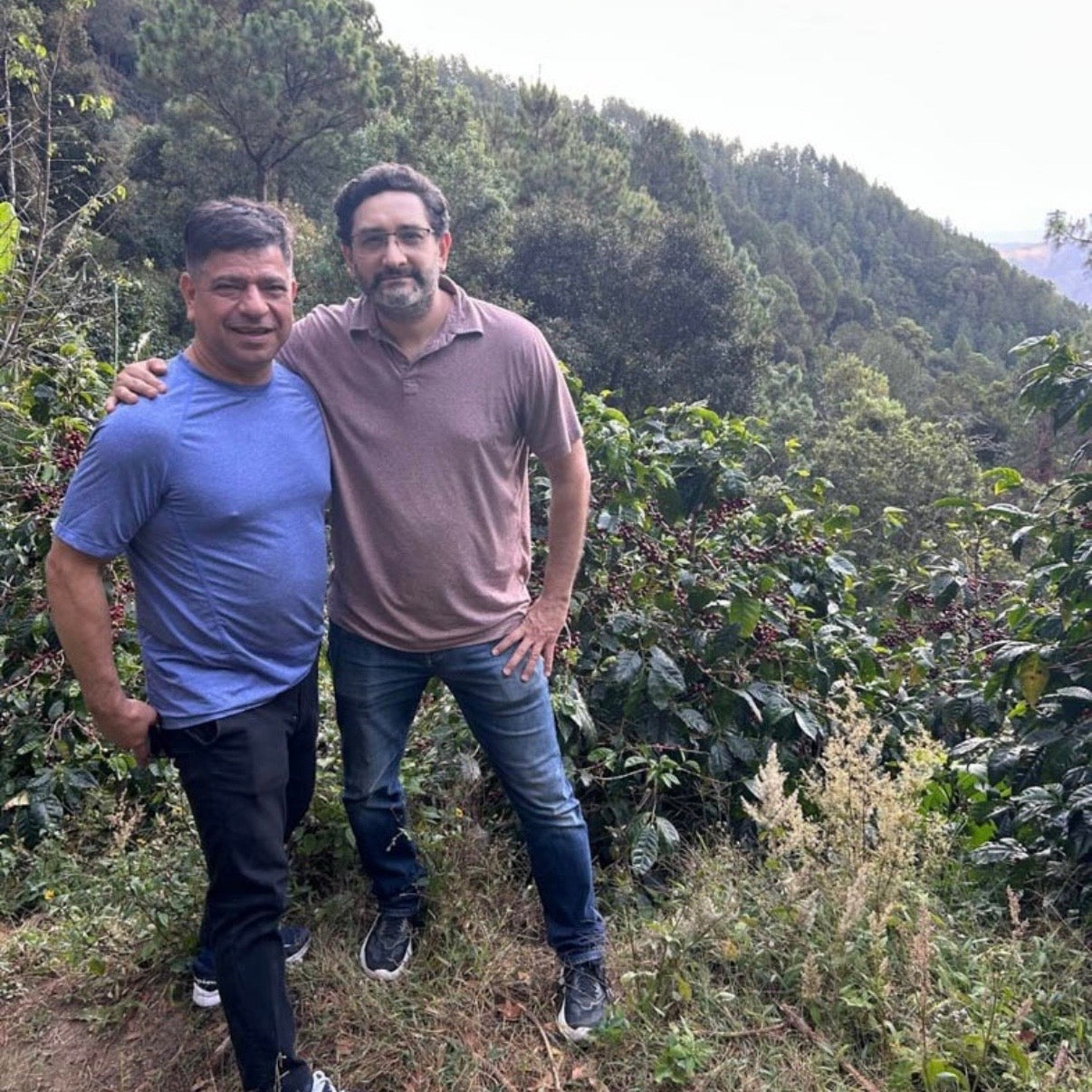 Coffee beans / ETHIOPIA Uraga / 150g