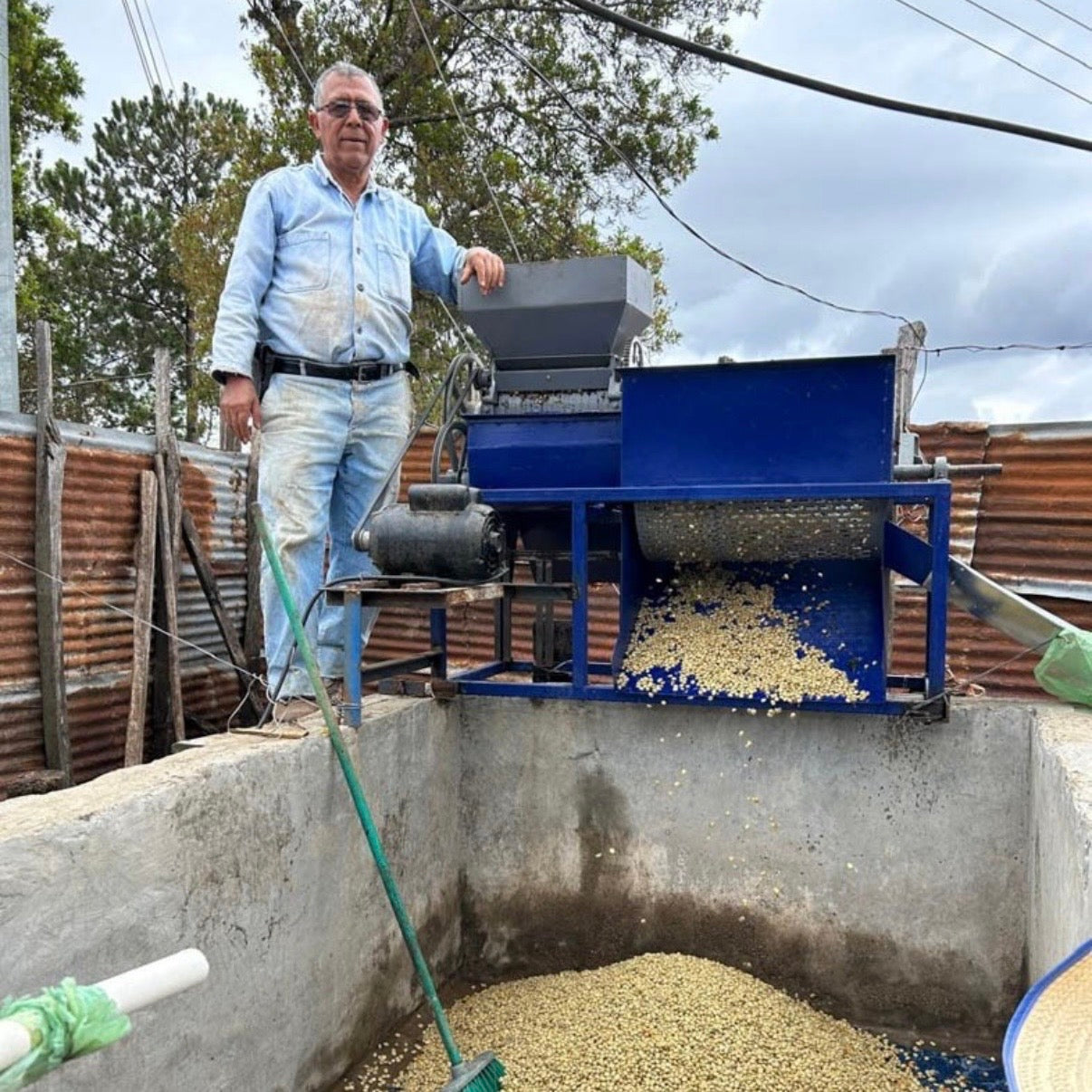 Coffee beans / ETHIOPIA Uraga / 150g