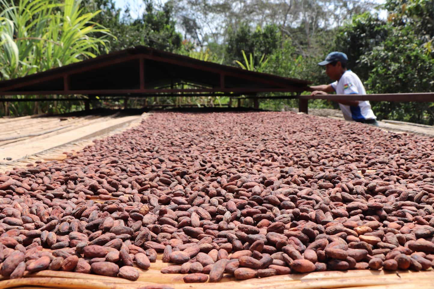 YARD Craft Chocolate - BOLIVIA / ALTO BENI -
