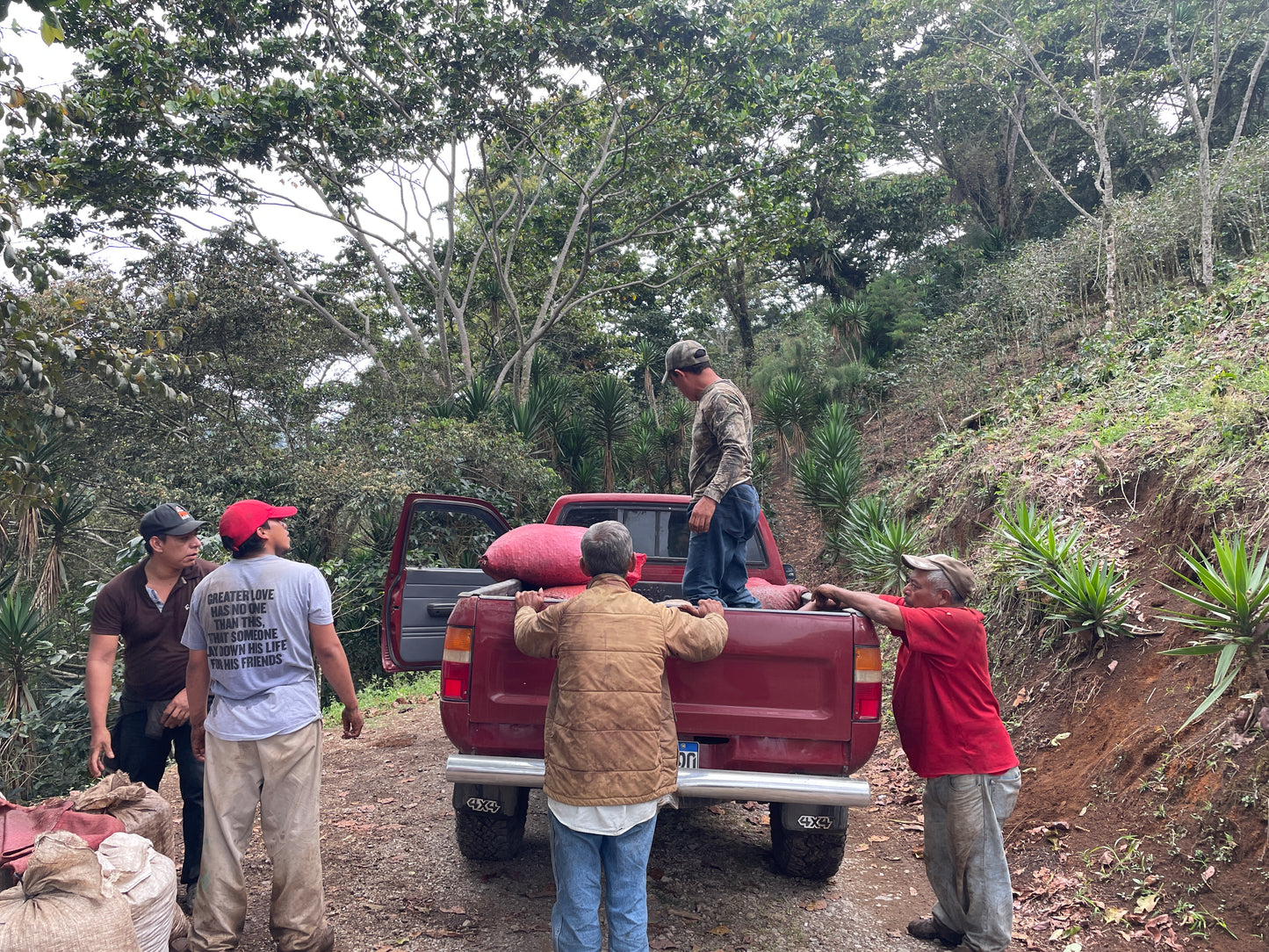 =間も無く終売= HONDURAS / Belarmino Contreras