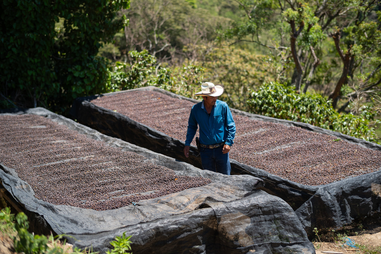 =NEW=  Familia Díaz / EL SALVADOR / 心地良い毎日に寄り添う味わい【Light Roast】