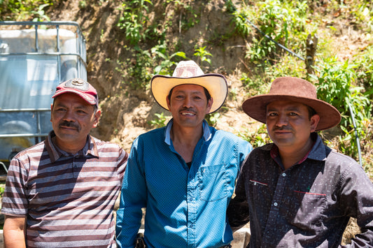 =NEW=  Familia Díaz / EL SALVADOR / 心地良い毎日に寄り添う味わい【Light Roast】