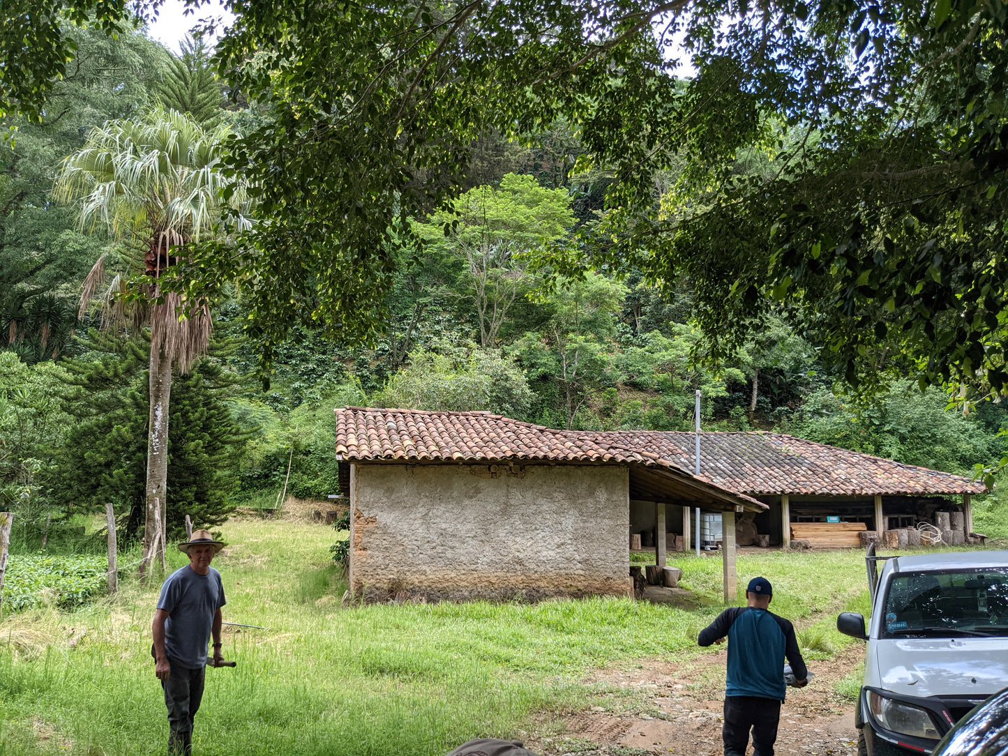 =NEW= El Salvador / Rene Aguilar / Pacamara