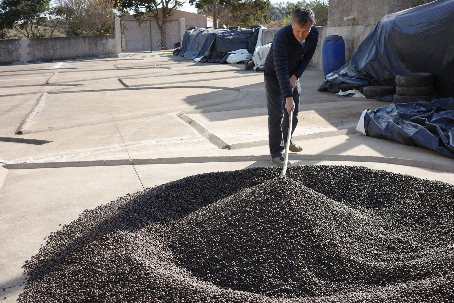 For Milk & Espresso Roast / Brazil【Medium roast】