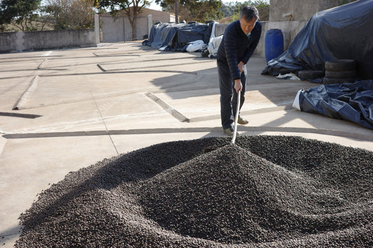 For Milk & Espresso Roast / Brazil【Medium roast】