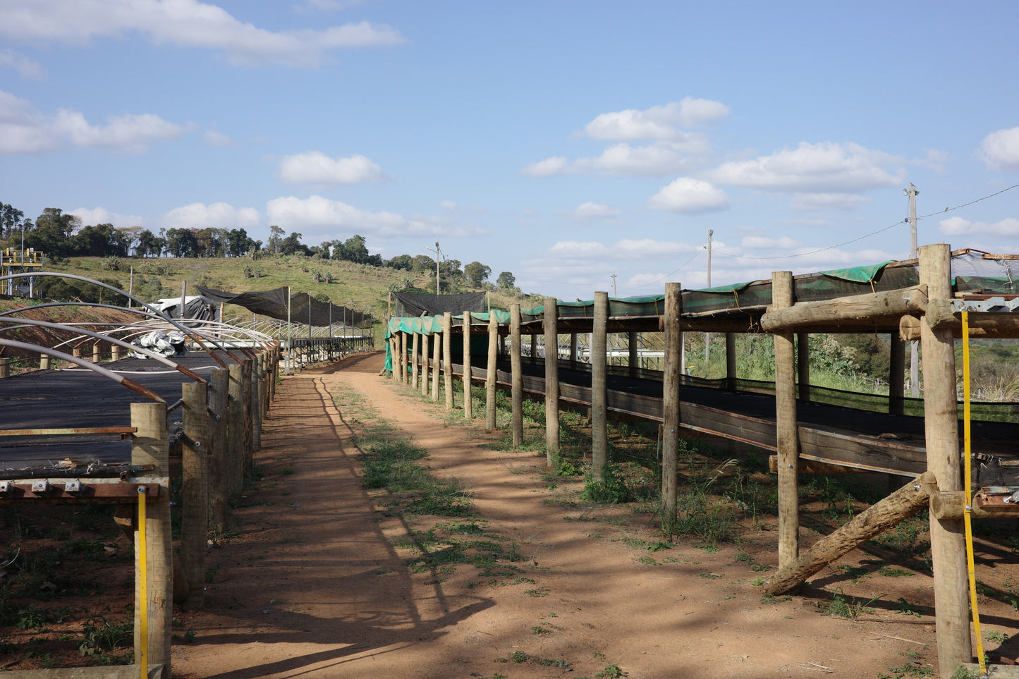 For Milk & Espresso Roast / Brazil【Medium roast】