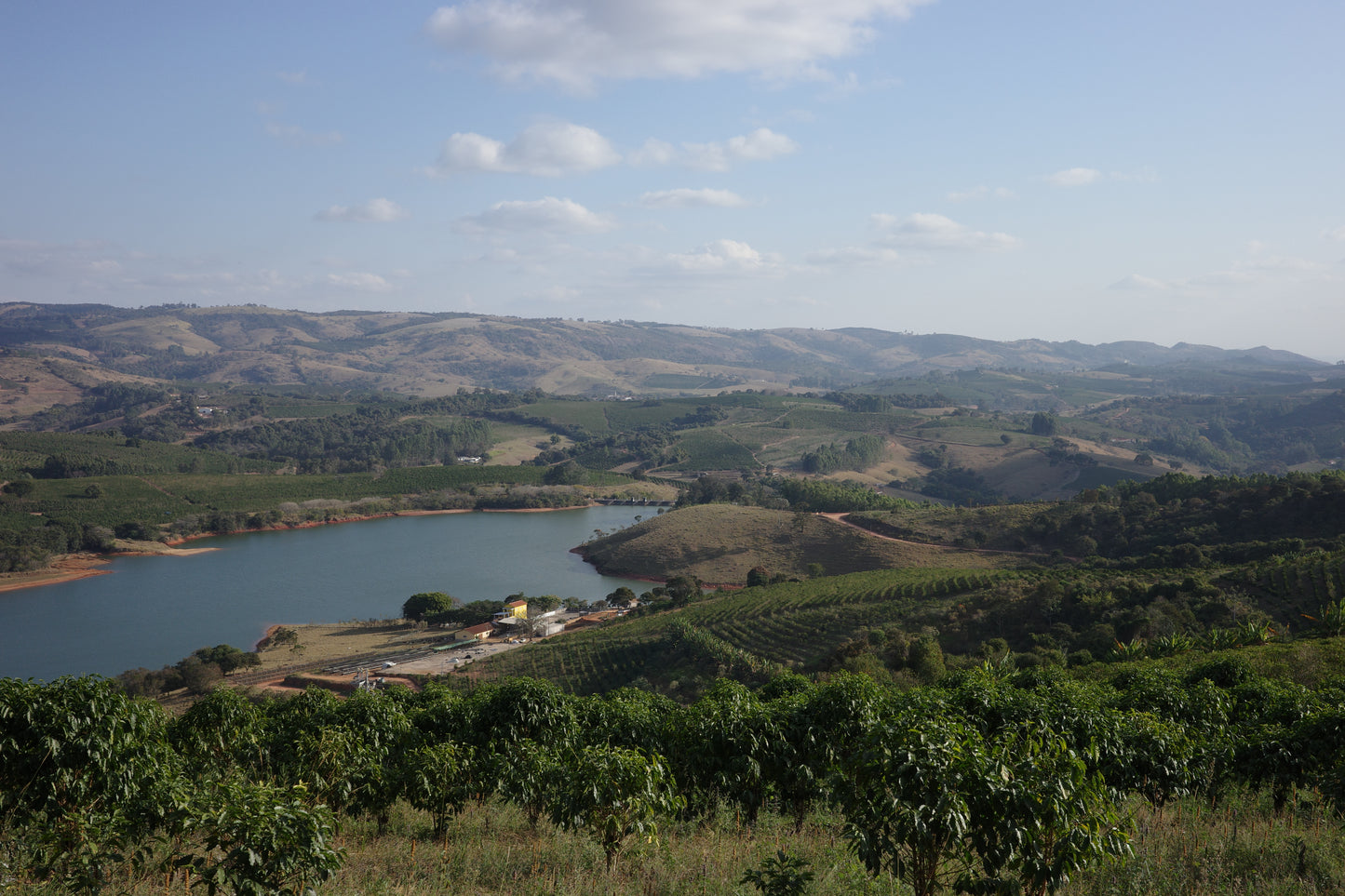 =NEW= BRAZIL / For Milk & Espresso Roast (中深煎り焙煎)