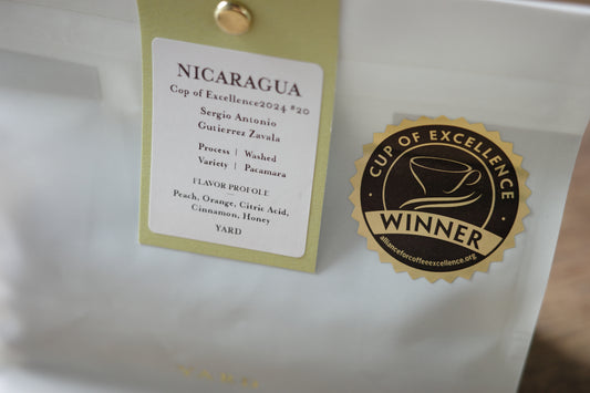 =NEW= NICARAGUA / COE 2024 #20 / Sergio Antonio Gutierrez Zavala