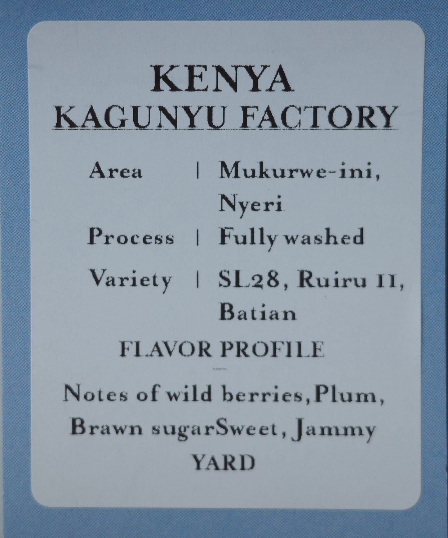 カグニュ・ファクトリー / KENYA / SL28【Light Roast】